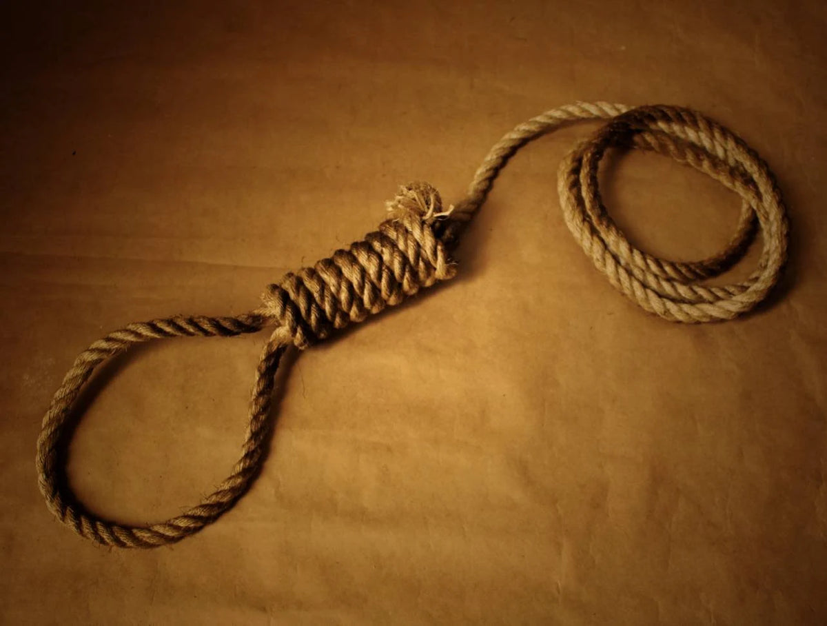 Authentic Rope Noose Prop Haunted House Decoration