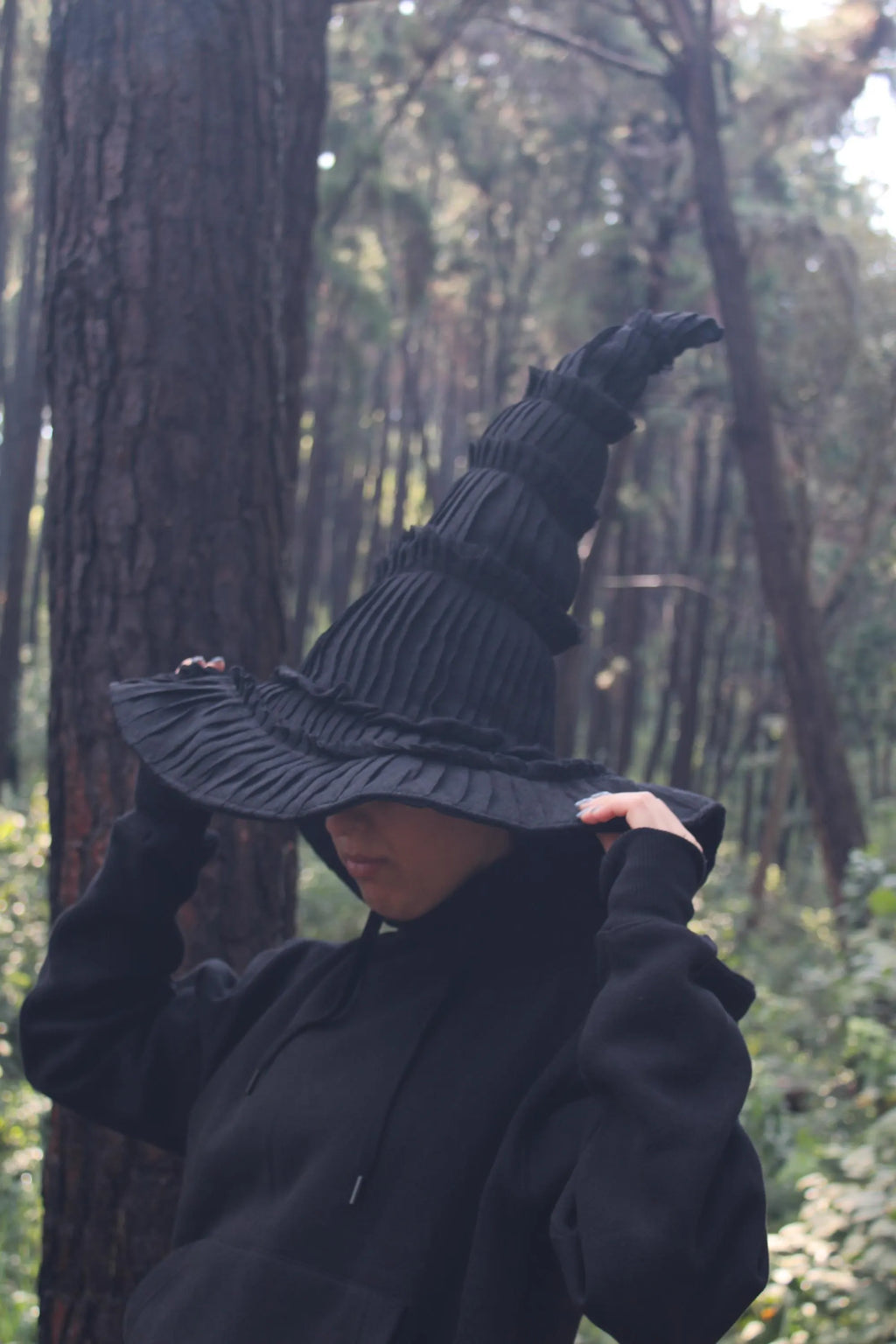 Le chapeau d'Elphaba, de la comédie musicale Wicked